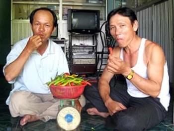 Bui Ngoc Vinh and Bui Ngoc Khanh hold the record for eating one kilogram of chilies in 10 minutes (Photo: Tuoi Tre)
